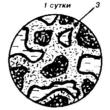 �������������� �������