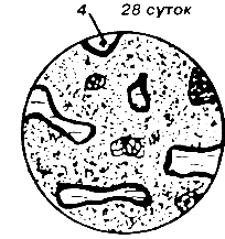 ��������� ������� � ���������� �����