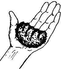 ������ ������ ��������� �������� �����