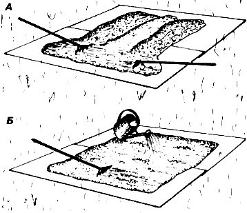 �������� ����� �������� �������