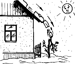 ������������ �������