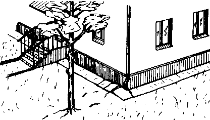 ������������ �������