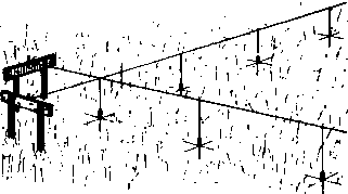 �������� ����