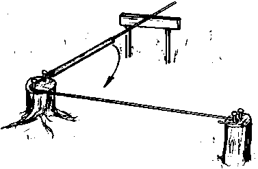 ������������ �������� �����