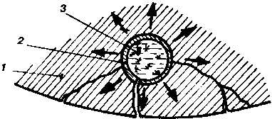 ���������� ������ ����� �����