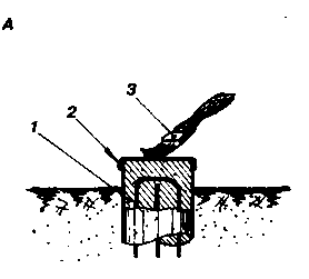 ������������� ���������� �����