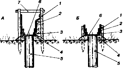 �������� �����-���������