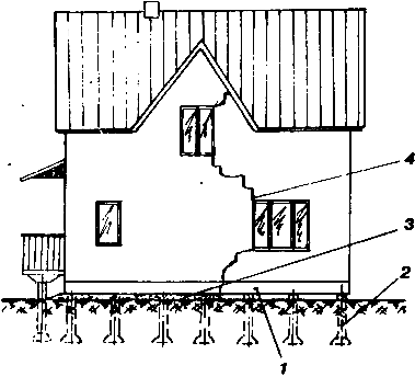 ������������ �������� �������� ��������