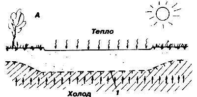 ��� �� �������� ������ ������������ ����