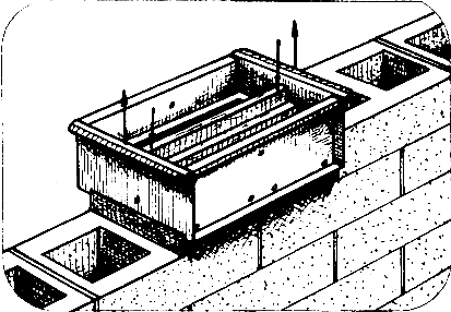 ������ �����