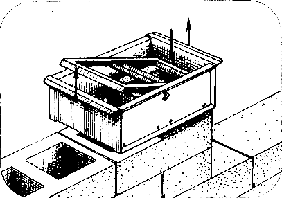 ���� ����� � ����������� �����