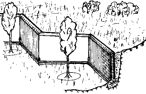 ������� ��������� ������