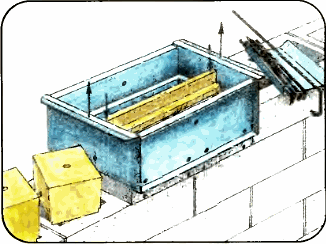 ������ �����