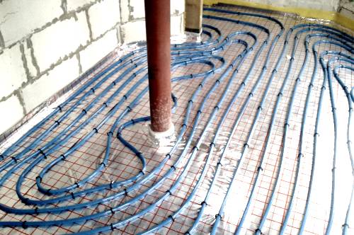 ������� ���� ������ ����