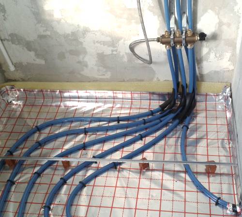 ������� ���� ������ ����