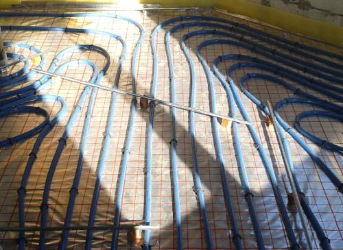 ������ ��� ������ ������ ����