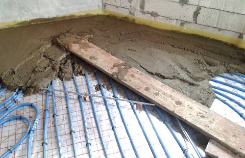 ������� ������ ������ ����