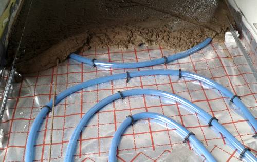 ������� ������ ������ ����