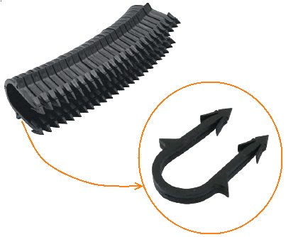 ����� ��� ��������� ����